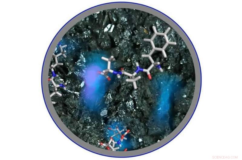 Artificial Peptide Bond Formation Sheds Light on the Origin of Life