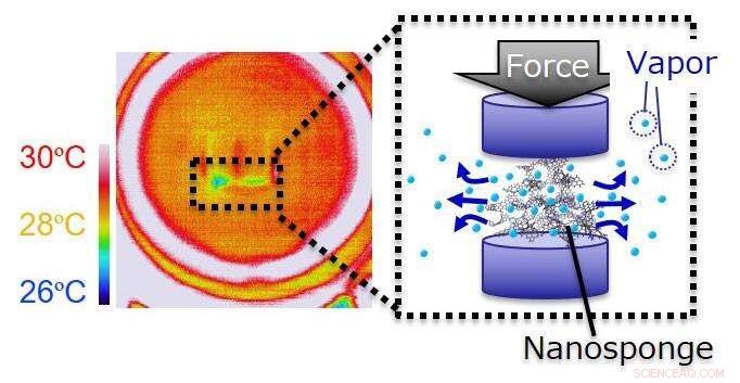 Revolutionizing Cooling: Force-Driven Liquid‑Gas Transition for Next‑Gen Refrigeration