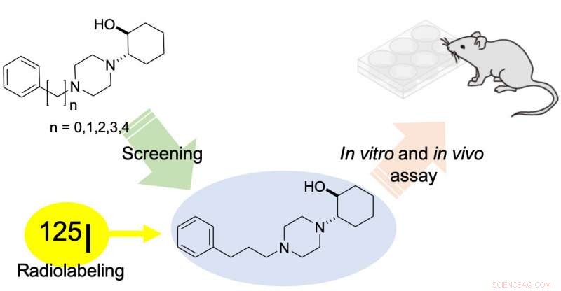 Advanced Mapping and Quantification of Protein Distribution on Endoplasmic Reticulum Surfaces in Cells