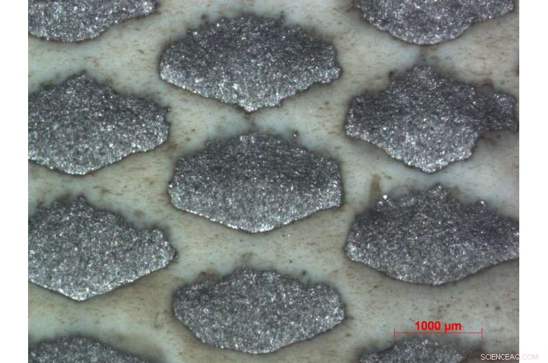 From Tunneling to Space: Harnessing Nature‑Inspired Materials for Cutting‑Edge Engineering Solutions