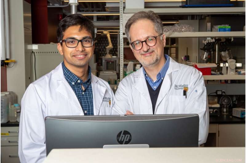 Scientists Chart Toxic Proteins Implicated in Alzheimer s Disease