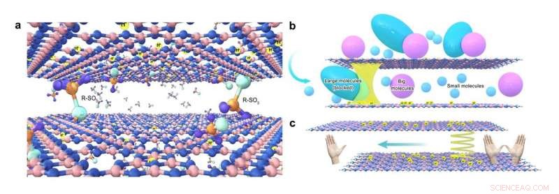 Innovative Chiral Membrane Achieves Efficient Separation of Mirror-Image Molecules