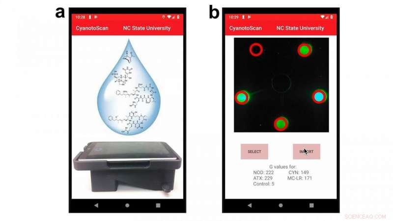 Researchers Develop First Portable Device for Detecting Cyanotoxins in Water