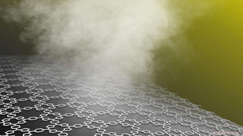 Innovative Solar Steam Generators: Harnessing Wood, Fabric, and Sponges for Clean Water