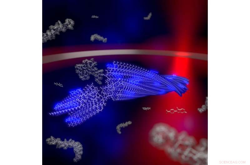 Cutting-Edge Strategies to Decode Amyloid Formation in Neurodegeneration