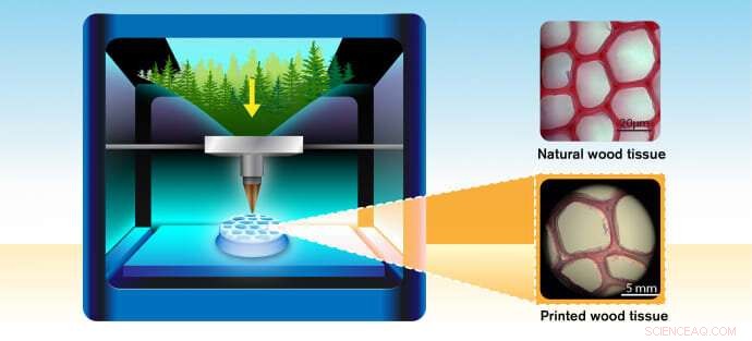 Recreating Wood s Ultra-Structure with 3D Printing to Produce Green Products