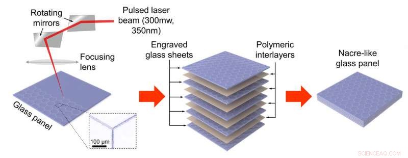 Nature‑Inspired Glass Outperforms Conventional Materials in Impact Resistance