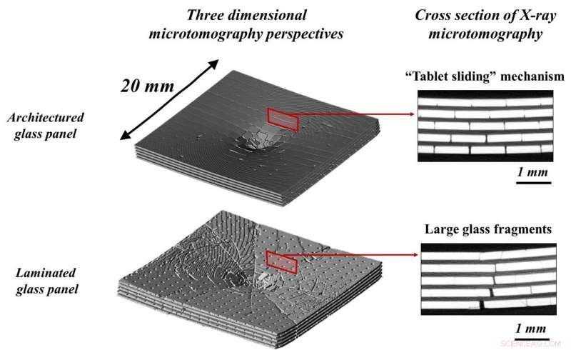 Nature‑Inspired Glass Outperforms Conventional Materials in Impact Resistance