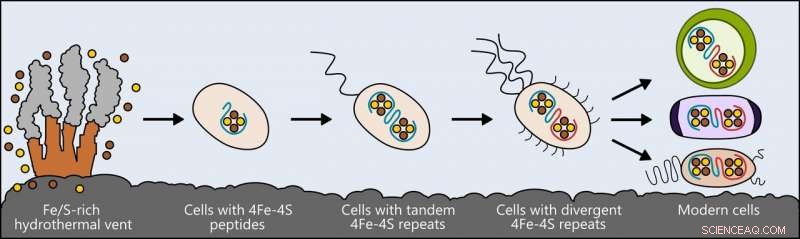 Scientists Trace the Origins of Metabolism to Iron‑Sulfur Hydrothermal Vents