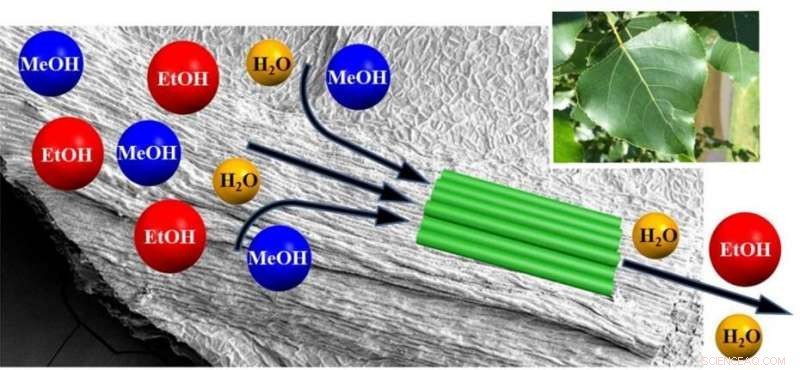 Boosting the Performance of Metal‑Organic Frameworks: Advanced Strategies and Insights
