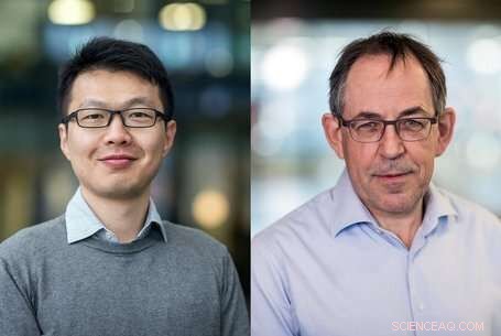 New Research Unlocks Programmable Electronic Inks Through Conjugated Polymers