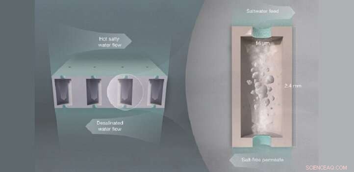 Insects Drive Development of Greener, Cost‑Effective Desalination Membranes