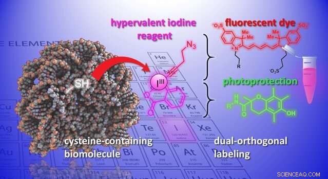 Advanced Chemical Tools for Precise Biomolecule Modification & Analysis