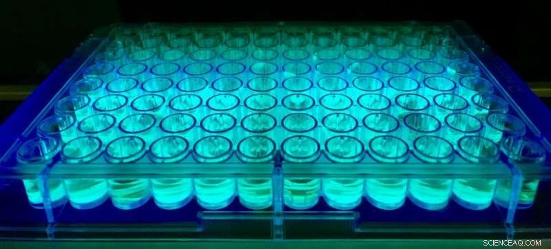 Chemists Offer Critical Support for Sustainable Chemical Innovation