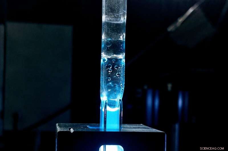 Chemists Offer Critical Support for Sustainable Chemical Innovation