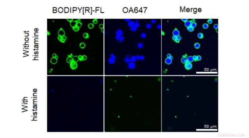 Engineering Artificial Chemical-Sensing Cells from the Ground Up