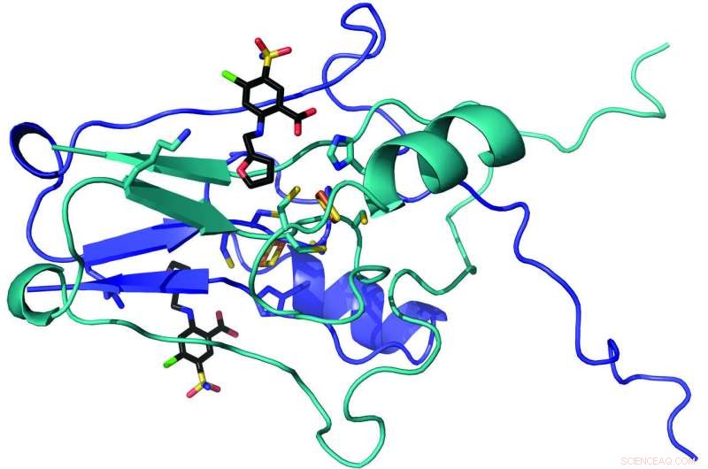 WVU Researchers Decode mitoNEET Crystal Structure, Paving Way for Stroke, Diabetes, and Dementia Treatments