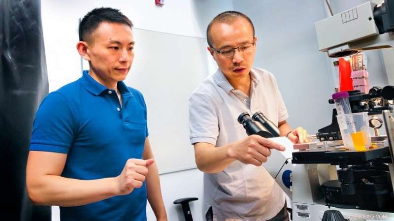 Cornell s Novel Imaging Technique Boosts Water Decontamination Efficiency