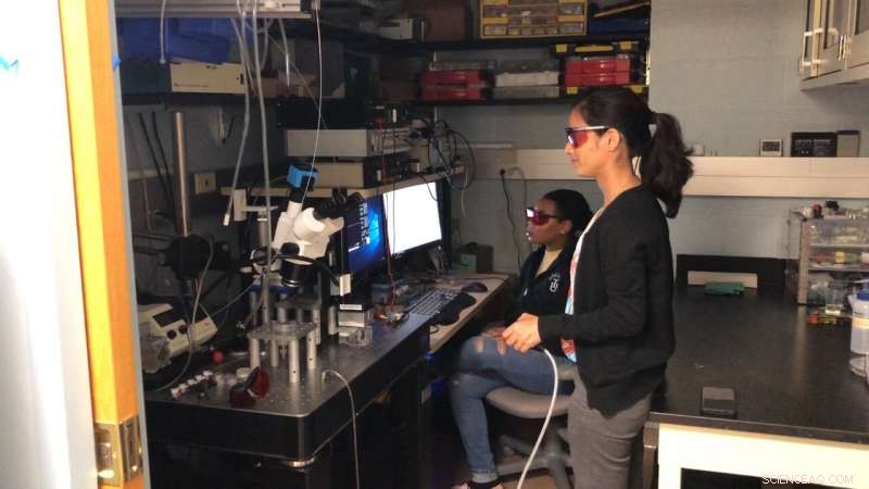 Advanced Liquid Forensics: Paving the Way to Safer Drinking Water