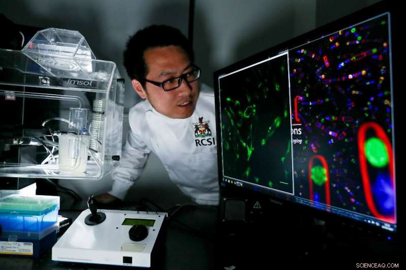 Innovative Tumour Probe Enhances Surgical Precision