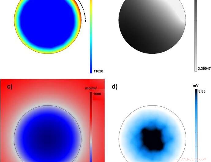 Advanced 3-D Particle Modeling for Single Battery Electrode Particles