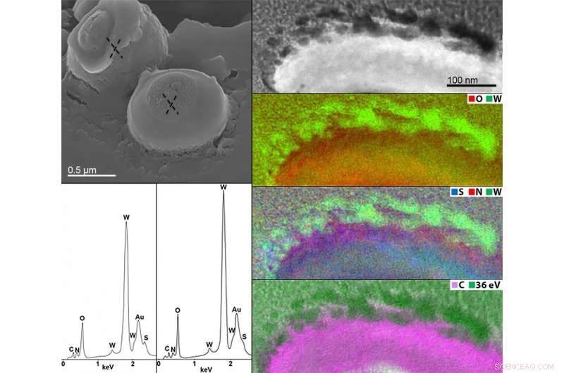 Tungsten: A Promising Shield Against Interstellar Radiation