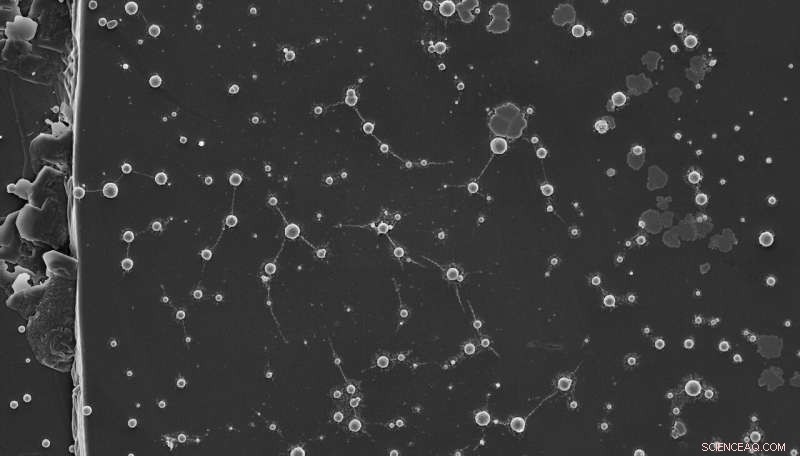 Tungsten: A Promising Shield Against Interstellar Radiation