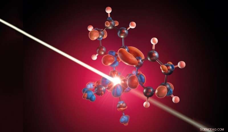 Analyzing Charge Transfer Dynamics in Transition-Metal Dye Solar Cells