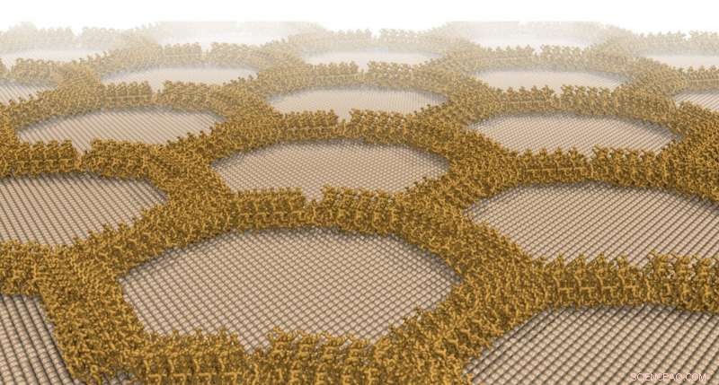 Synthetic Proteins Create Precise Wire and Lattice Structures on Mineral Surfaces