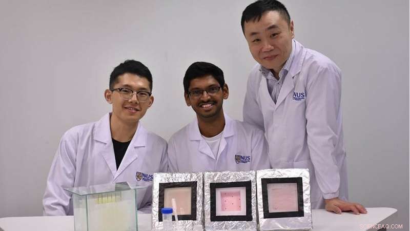 Revolutionary Reusable Hydrogel Harvests Clean, Desalinated Water from Humid Sea Air Using Sunlight