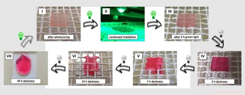 New Light‑Stabilised Dynamic Material Breakthrough by QUT, UGent, and KIT