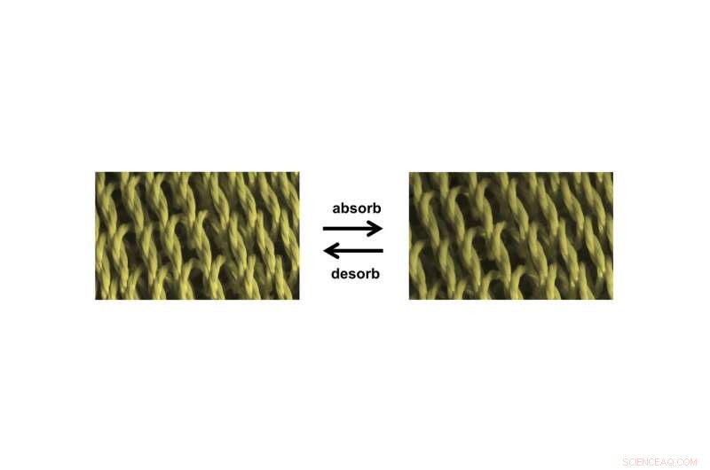 Revolutionary Polymer‑Coated Carbon Nanotube Muscles Deliver Unprecedented Power