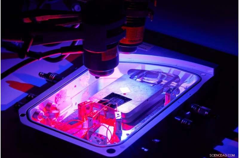 Brain‑Inspired Chip Enables Rapid, Flash‑Speed Memory Formation