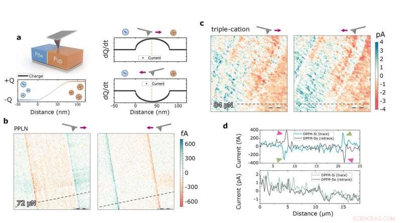 Lead Halide Perovskites: Debunking Ferroelectric Claims