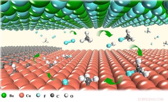 Fluorine Accelerates the Growth of Two-Dimensional Materials