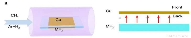 Fluorine Accelerates the Growth of Two-Dimensional Materials
