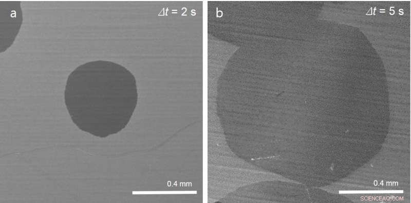 Fluorine Accelerates the Growth of Two-Dimensional Materials