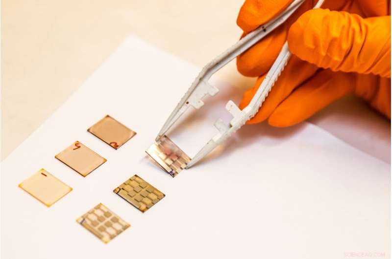 Optimizing Perovskite LEDs: Interlayers Enhance Crystallization for Superior Performance