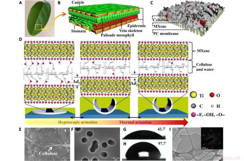 Revolutionary MXene-Based Actuators for Smart, Programmable Devices