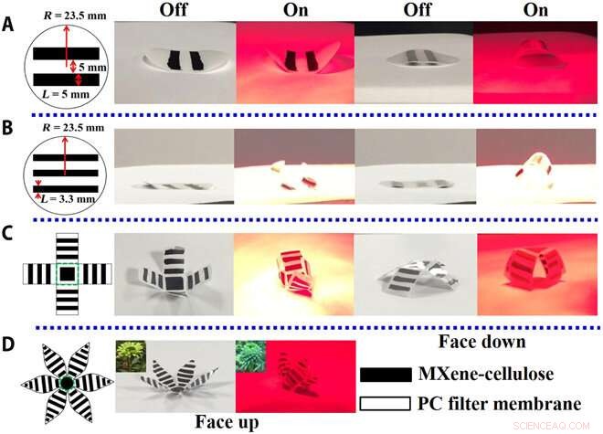 Revolutionary MXene-Based Actuators for Smart, Programmable Devices