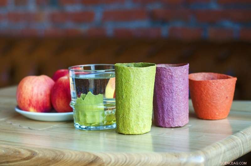New Edible Apple-Based Dishware Developed for Single-Use Applications