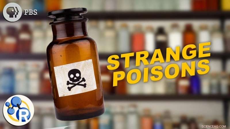 Top Five Bizarre Poisons Capable of Lethal Danger