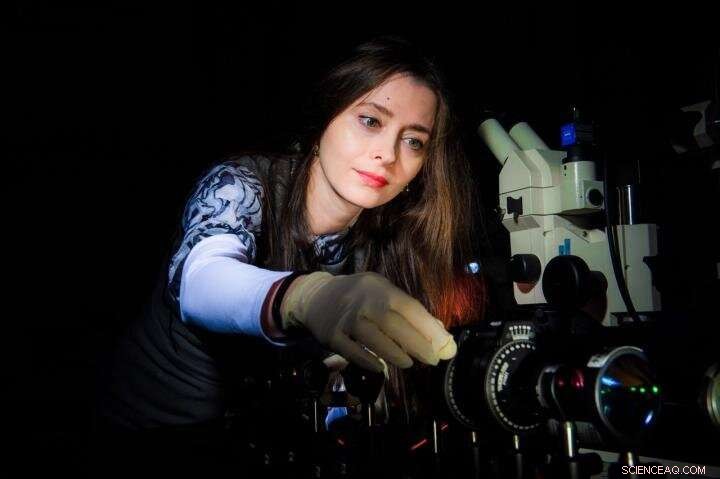 New Microfluidic Chip Enhances Detection of Trace Blood Residue in Forensic Investigations