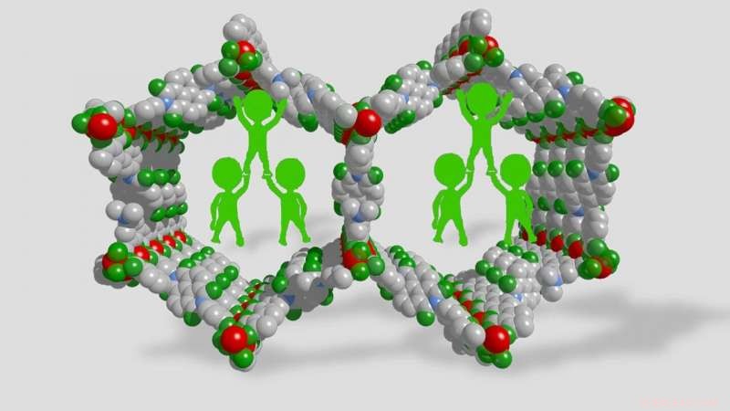 Polymer Addition Enhances Stability of Collapsing Metal-Organic Frameworks