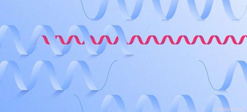 Advanced X-ray Laser Techniques Reveal New Drug Targets