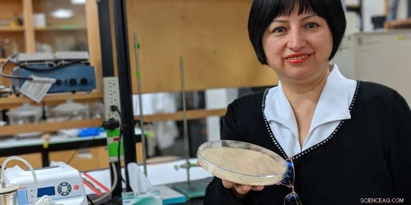 U of A Scientist Turns Canola Straws Into 12× Stronger Biodegradable Cling Wrap