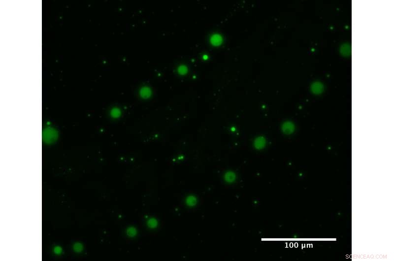 New Chemistry Unveiled: How Scientists Illuminate the Origins of Cellular Life