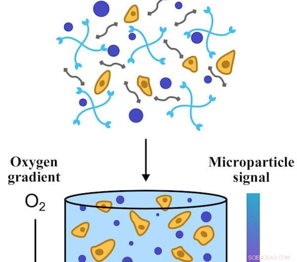 New Fluorescent Sensors Enable Real‑Time Tracking of Oxygen in Hydrogel‑Based Healing