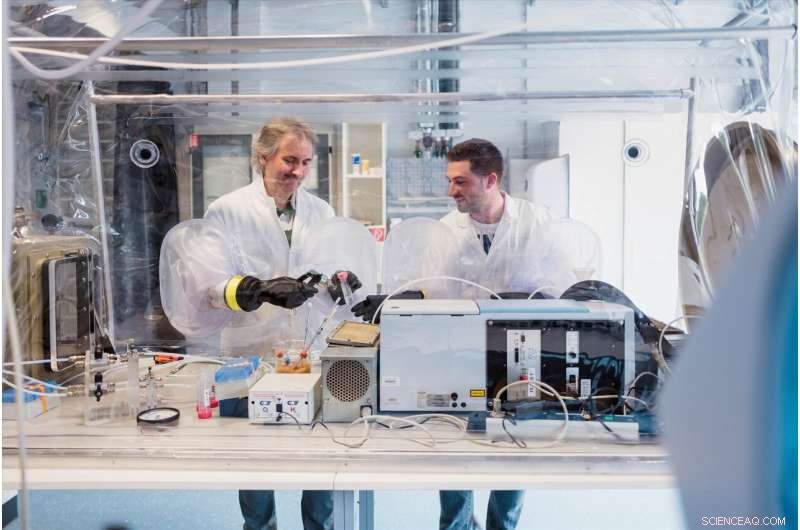 Unveiling Nature s Blueprint: The Science Behind Hydrogen‑Producing Enzymes