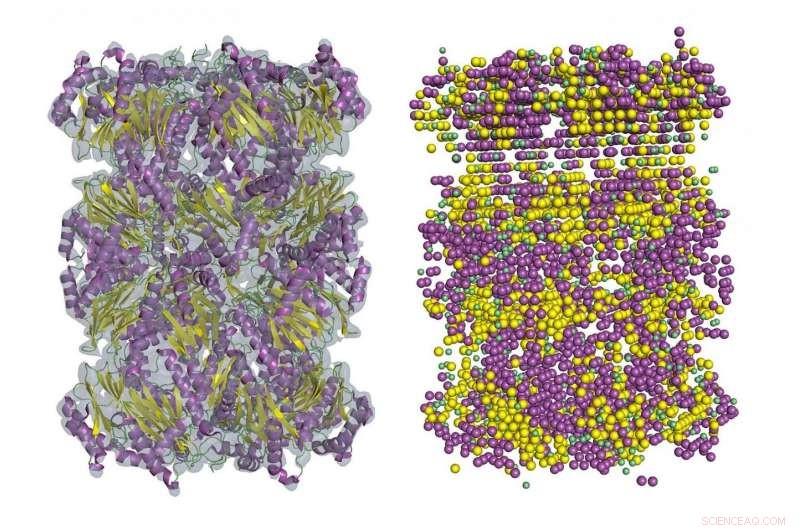 New Tool Sharpen Low-Resolution Cryo-EM Maps with Unprecedented Accuracy
